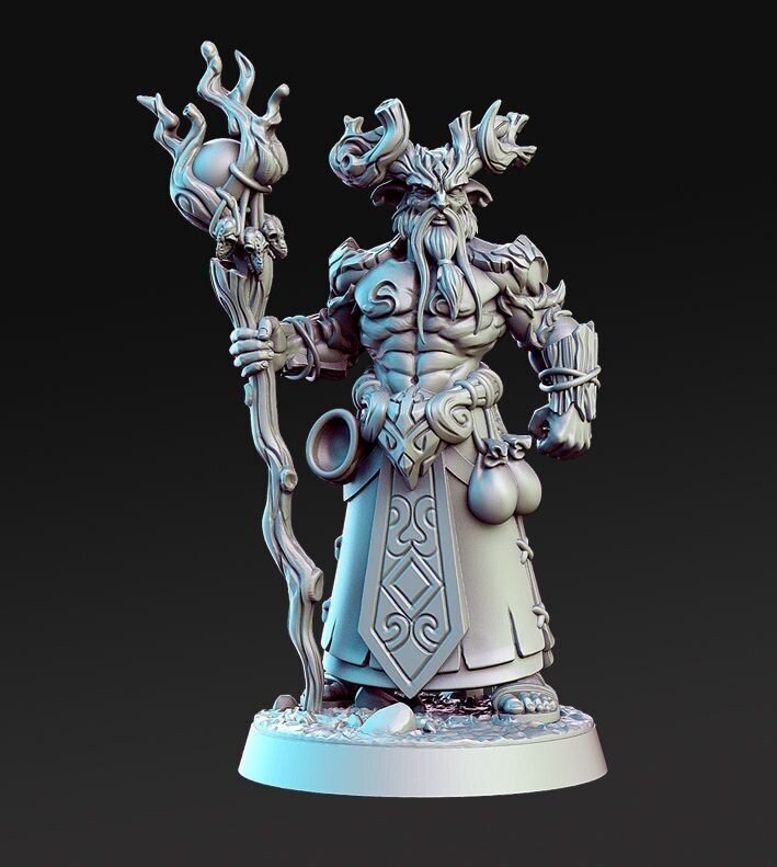 Aerlin the Druid