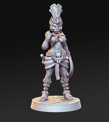Tabaxi