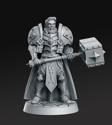 Paladin