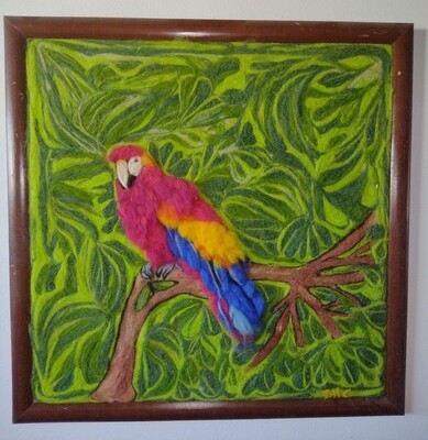 Argentinian Parrot