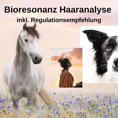 Bioresonanz-Haaranalyse inklusive individueller Regulationsempfehlung