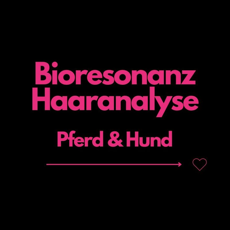Bioresonanz-Haaranalyse inklusive individueller Regulationsempfehlung