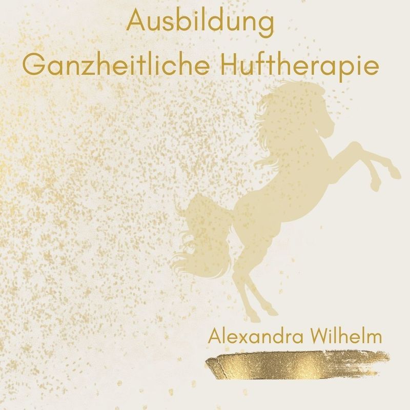 Ausbildung ganzheitlicher Huftherapeut Q3/Q4 2025