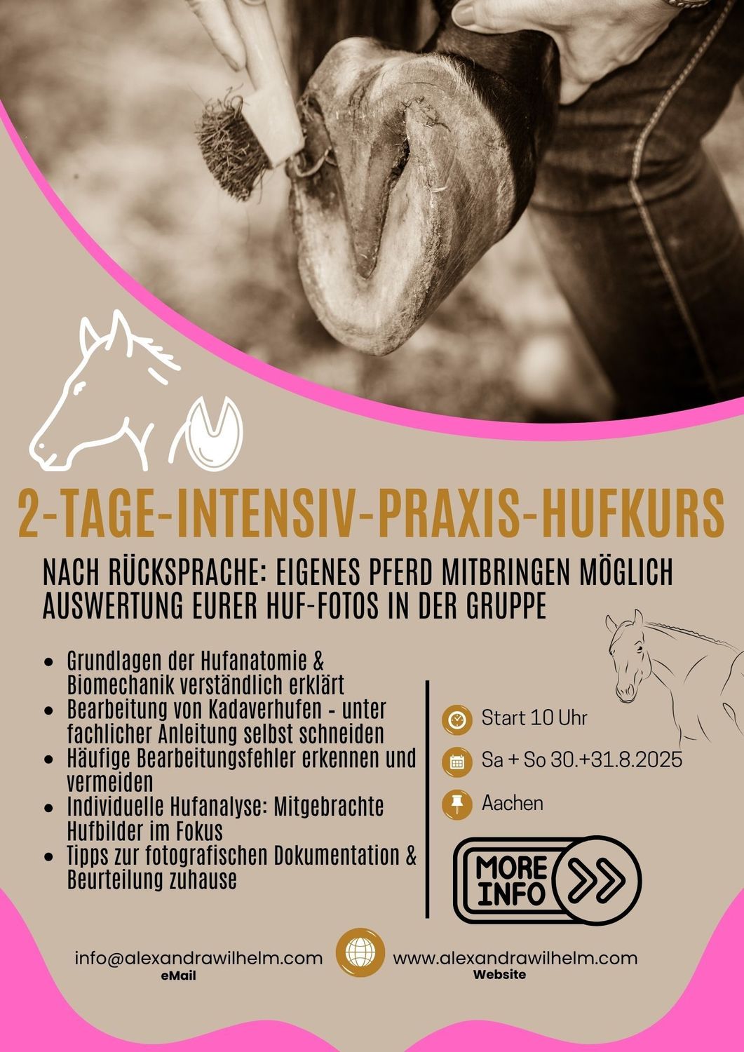 Praxis Hufkurs für Einsteiger: 2 Tage Intensiv-Training 