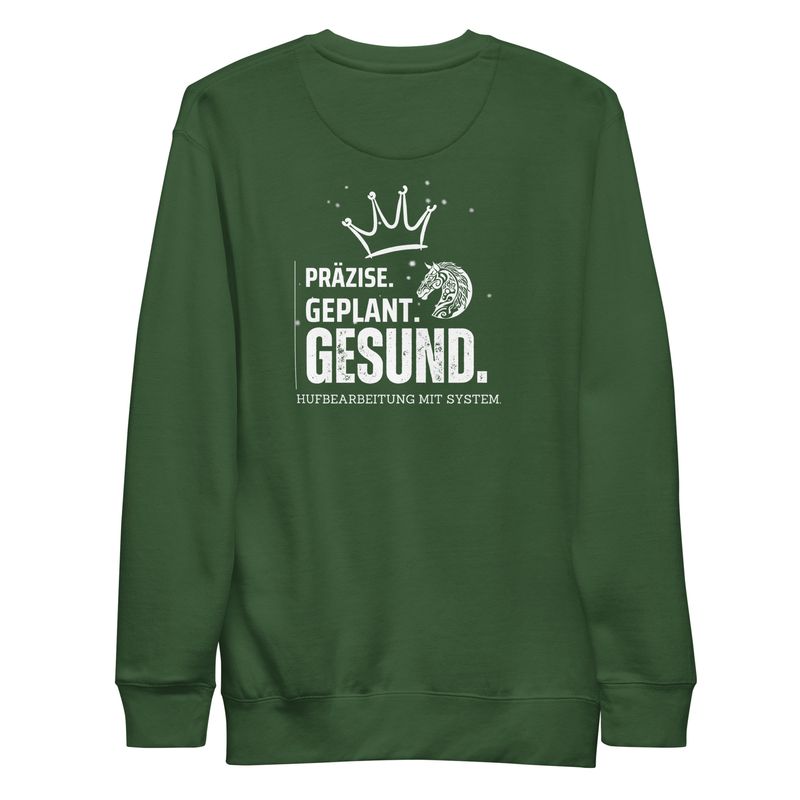 Hufguru Präzise Geplant Gesund Unisex-Premium-Pullover Druck Vorder- und Rückseite