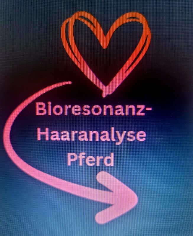 Bioresonanz-Haaranalyse für Pferde inklusive individueller Regulationsempfehlung