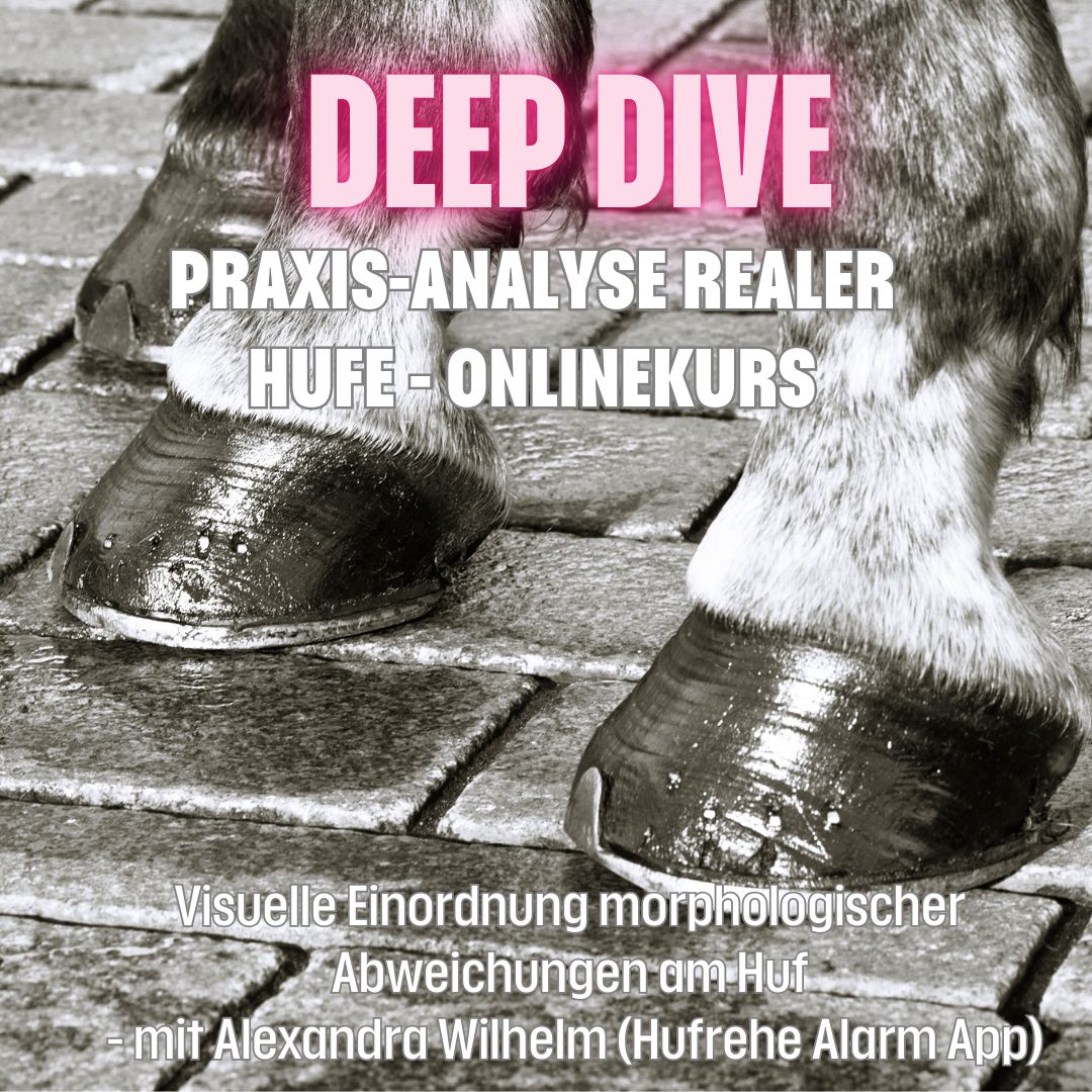 DEEP DIVE Praxis-Analyse realer Hufe - Onlinekurs