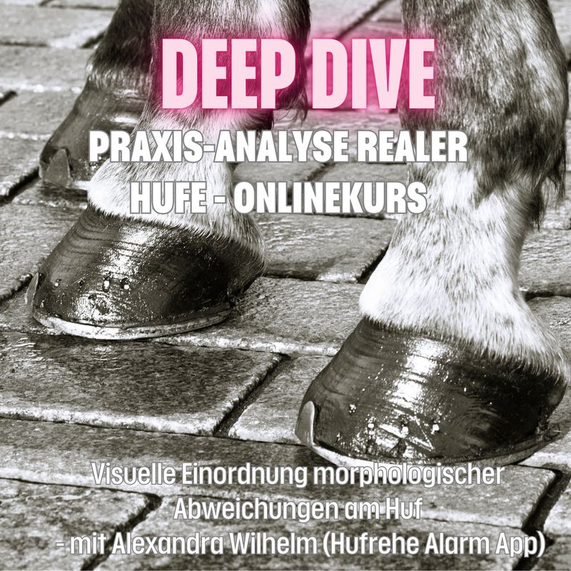 DEEP DIVE Praxis-Analyse realer Hufe - Onlinekurs