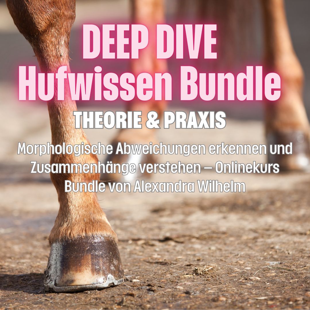 Deep Dive Hufwissen – Theorie & Praxis Bundle Deep Dive Hufwissen – Theorie & Praxis Bundle