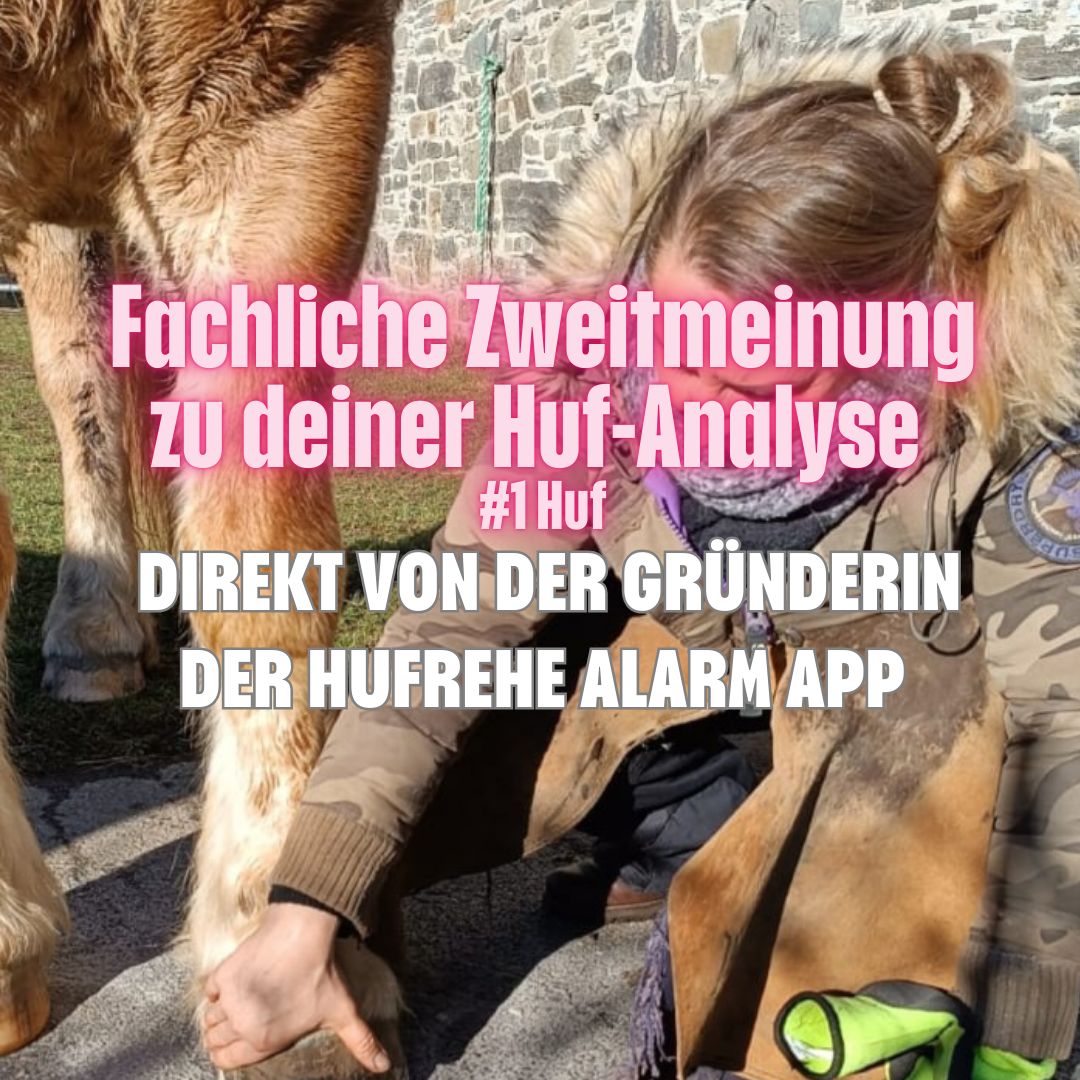 Fachliche Zweitmeinung zu den Hufen deines Pferdes – direkt von der Gründerin der Hufrehe Alarm App (Analyse von 1 Huf) Fachliche Zweitmeinung zu den Hufen deines Pferdes – direkt von der Gründerin der Hufrehe Alarm App (Analyse von 1 Huf)