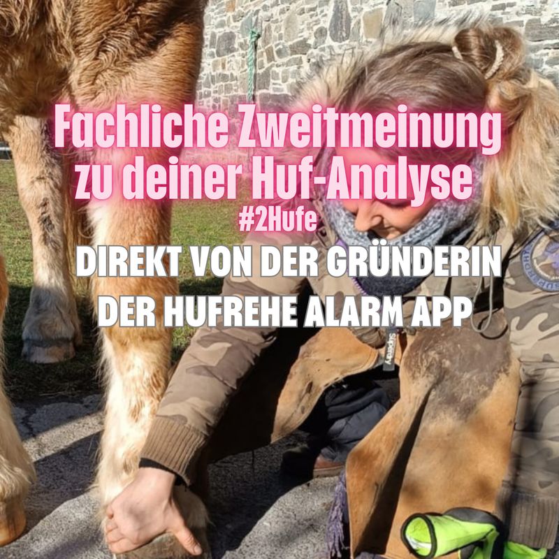Fachliche Zweitmeinung zu den Hufen deines Pferdes – direkt von der Gründerin der Hufrehe Alarm App (Analyse von 2 Hufen) Fachliche Zweitmeinung zu den Hufen deines Pferdes – direkt von der Gründerin der Hufrehe Alarm App (Analyse von 2 Hufen)