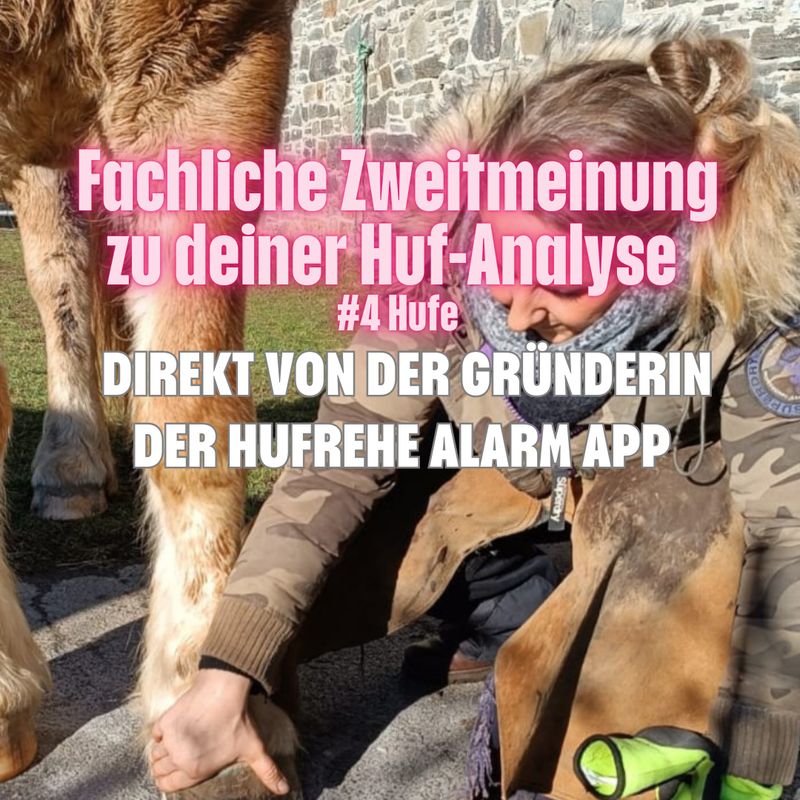 Fachliche Zweitmeinung zu den Hufen deines Pferdes – direkt von der Gründerin der Hufrehe Alarm App (Analyse von 4 Hufen) Fachliche Zweitmeinung zu den Hufen deines Pferdes – direkt von der Gründerin der Hufrehe Alarm App (Analyse von 4 Hufen)