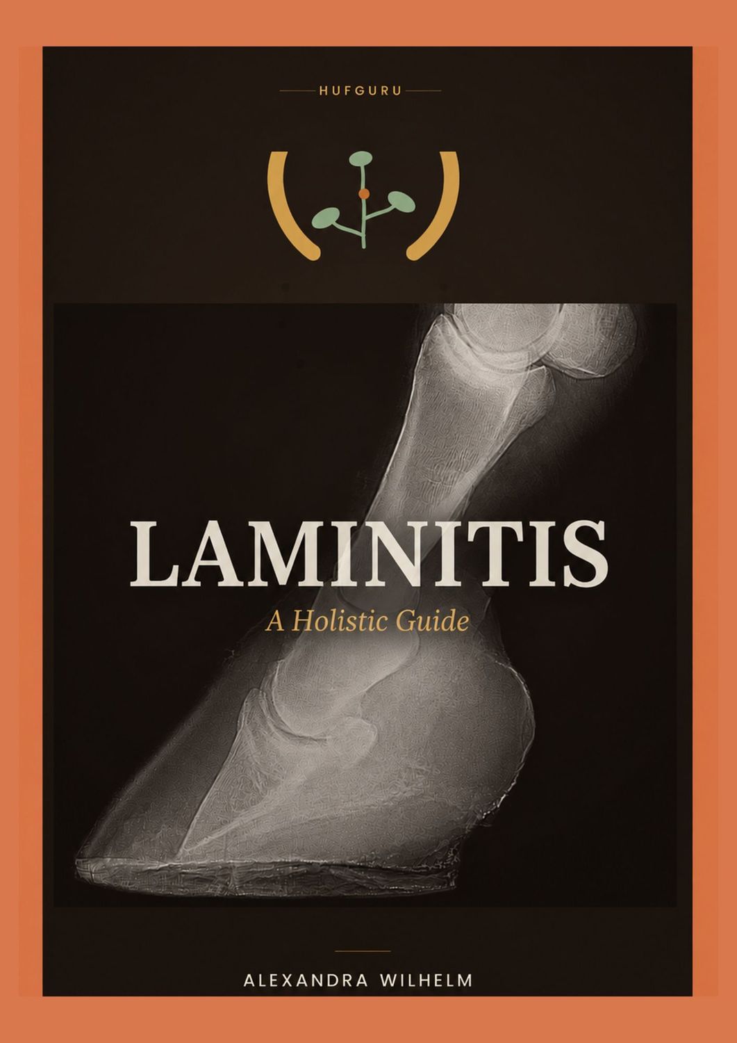 Laminitis – A Holistic Guide Laminitis – A Holistic Guide