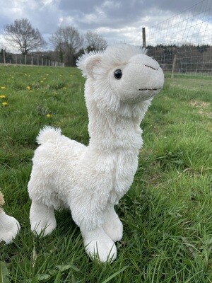 White Cuddly Alpaca Toy