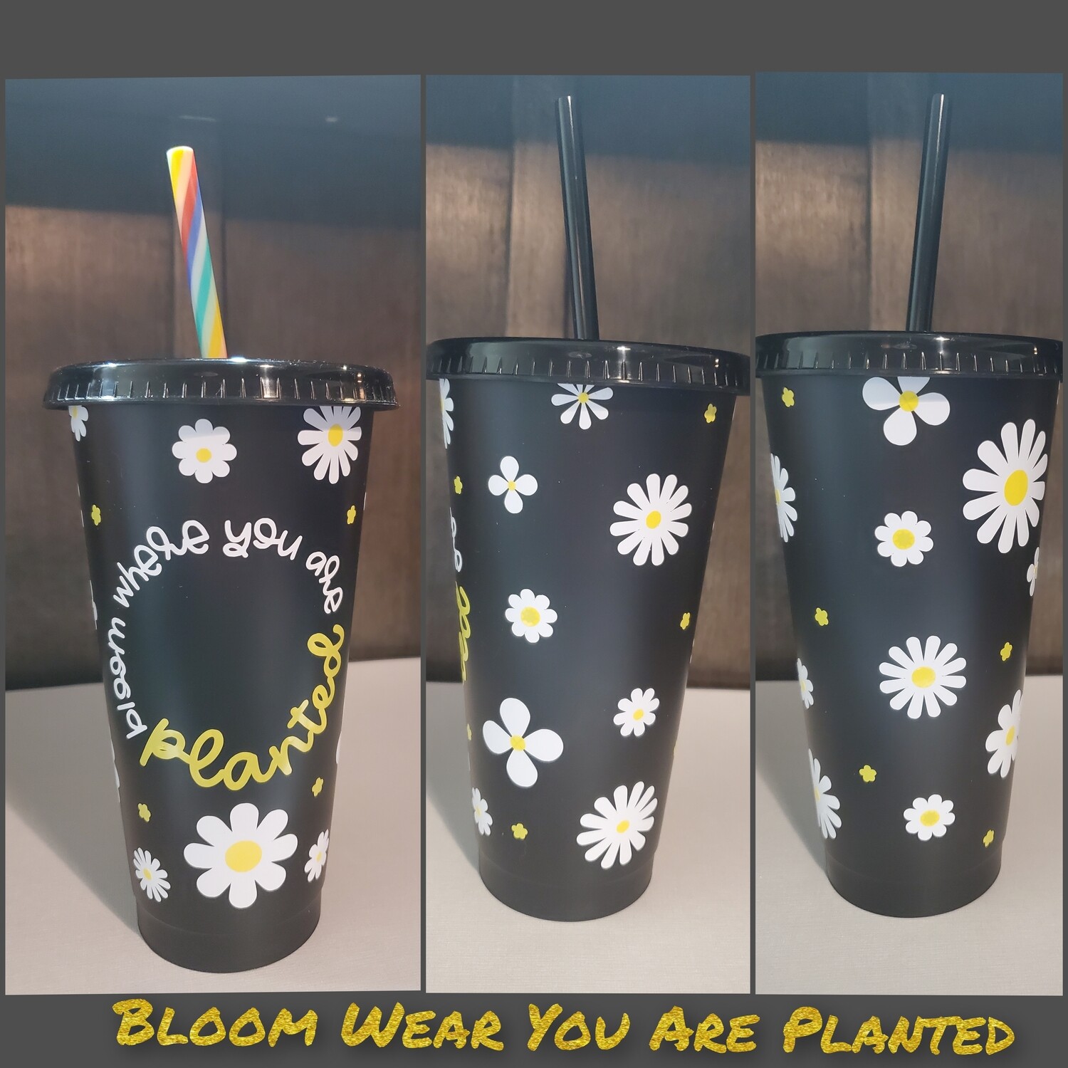 Bloom where you are planted