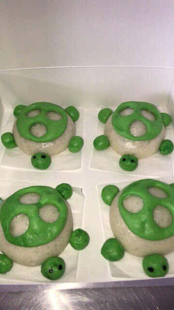 Turtle Bun