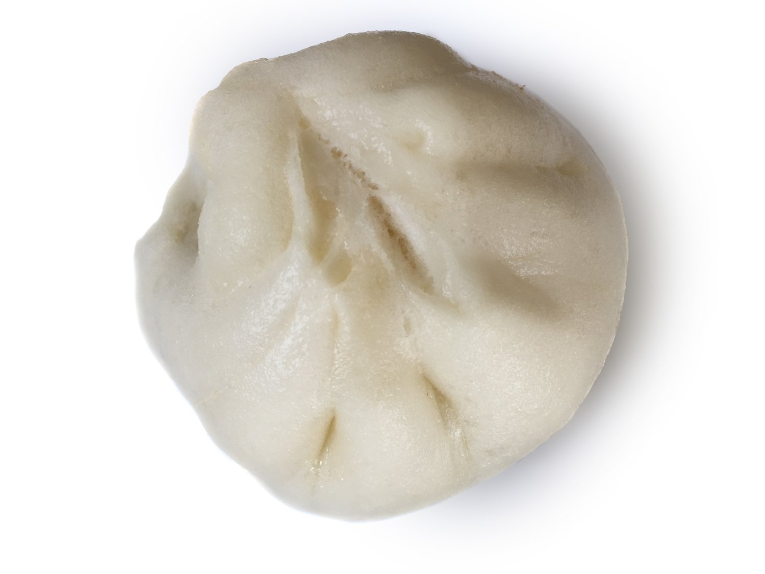 Savory Pork bun