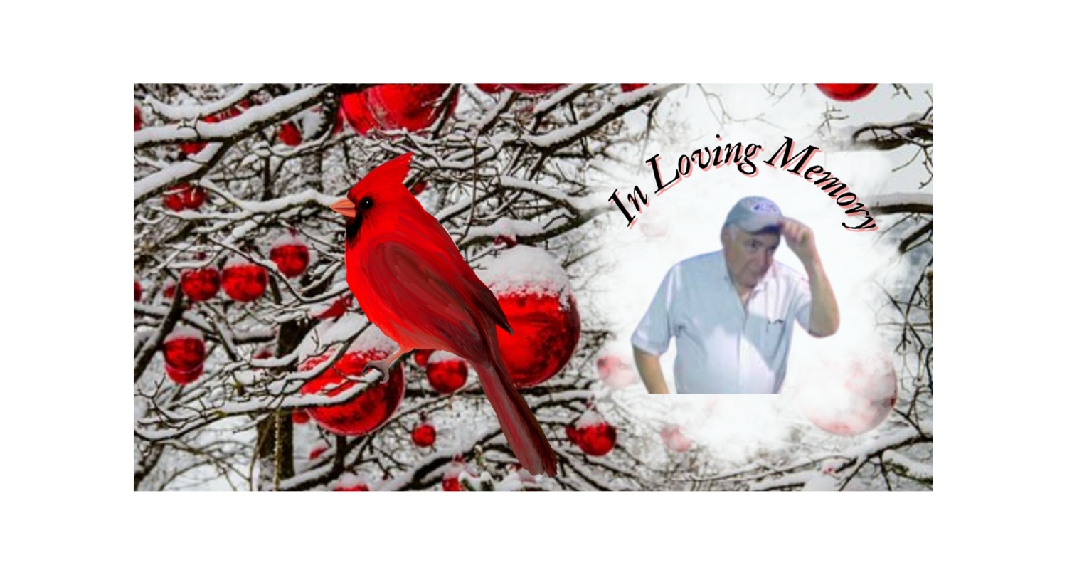 Cardinal Memorial Decorative License Plate