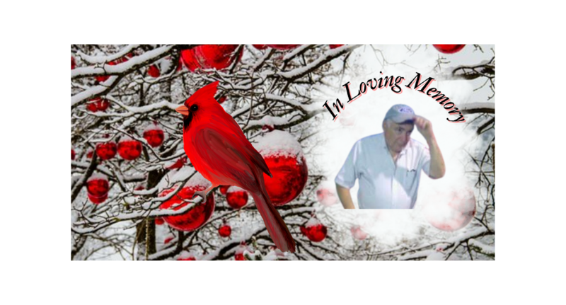 Cardinal Memorial Decorative License Plate