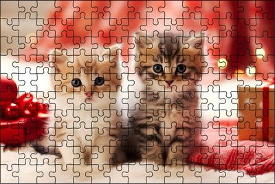Holiday Kitten Puzzle