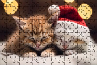 Kittens Santa Hat Puzzle