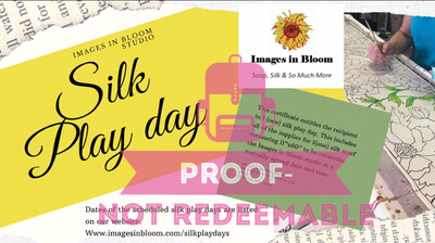 Silk Play Day certificate
