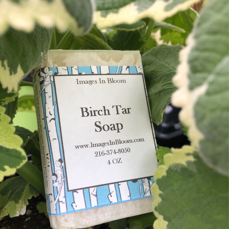 Birch Tar Soap 🌳