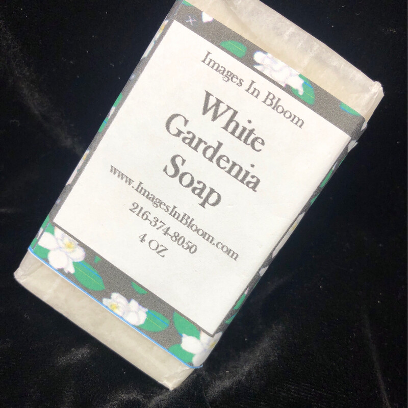 White Gardenia White Gardenia