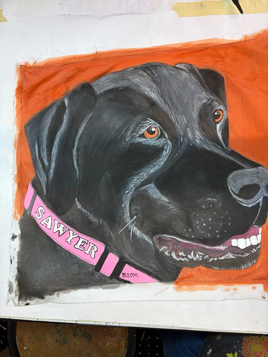 Hand Painted Pillow Of sawyer