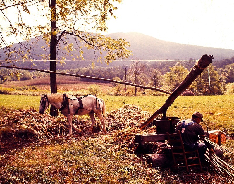 Molasses Making, North Carolina