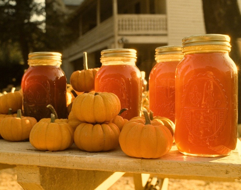 Mountain Honey in Fall, North Carolina