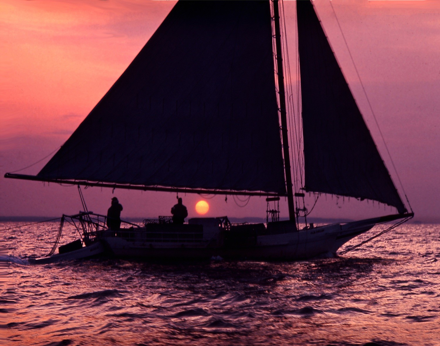 Skipjack at Work, Maryland