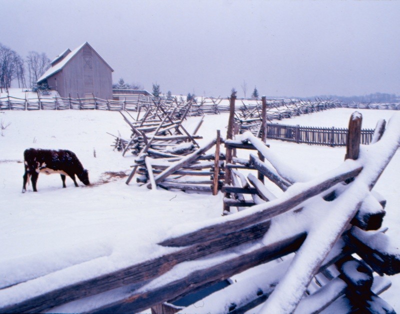 Snowy Farm Scene, Virginia