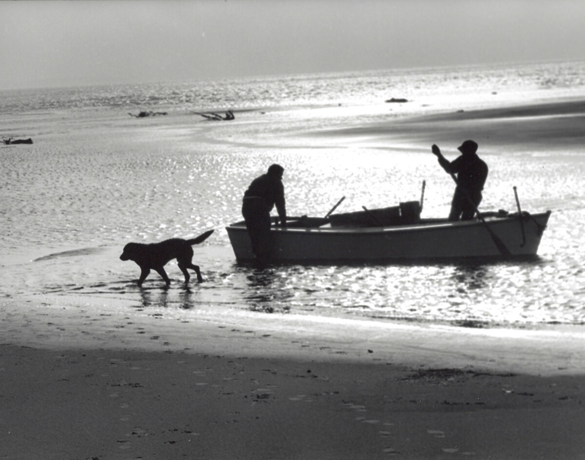 Dog is First Ashore