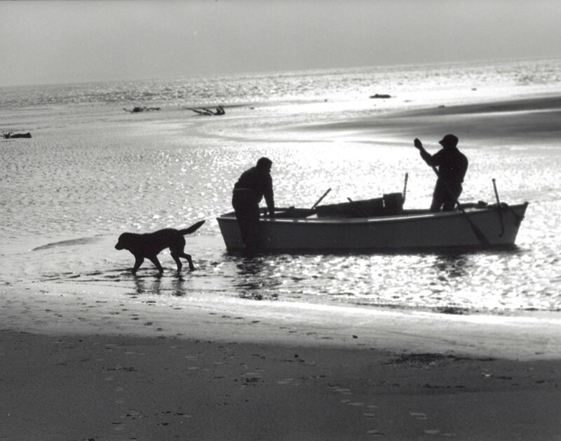 Dog is First Ashore