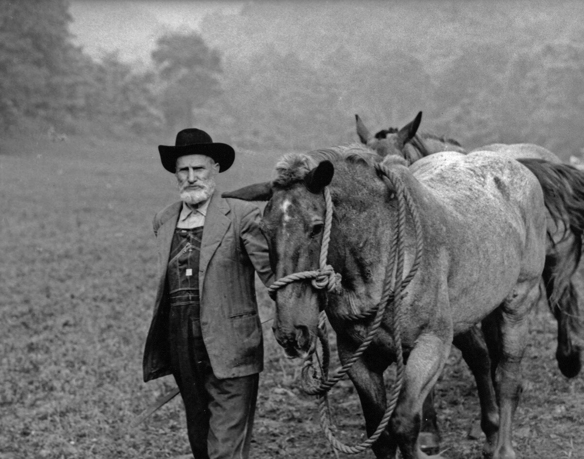 Mountain Man and Team in Fog