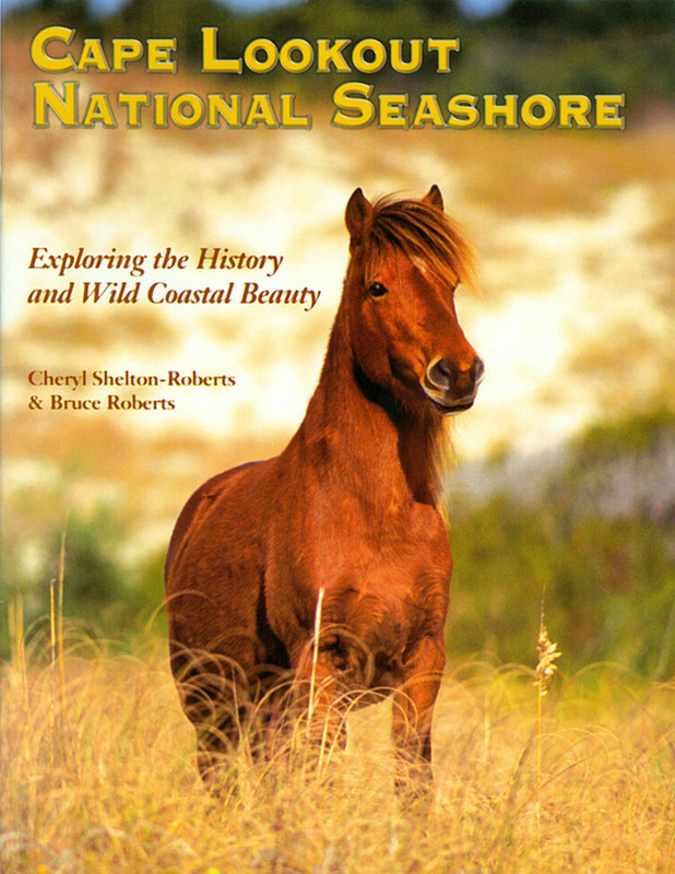 Cape Lookout National Seashore: Exploring the History and Wild Coastal Beauty (booklet)