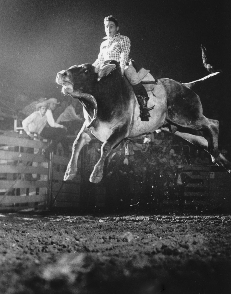 High Bull Riding