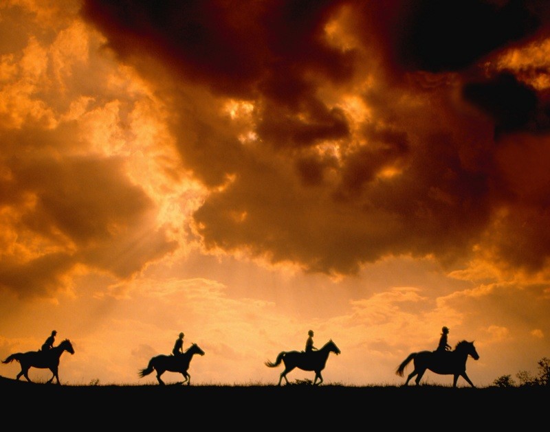 Galloping Across the Hills, North Carolina