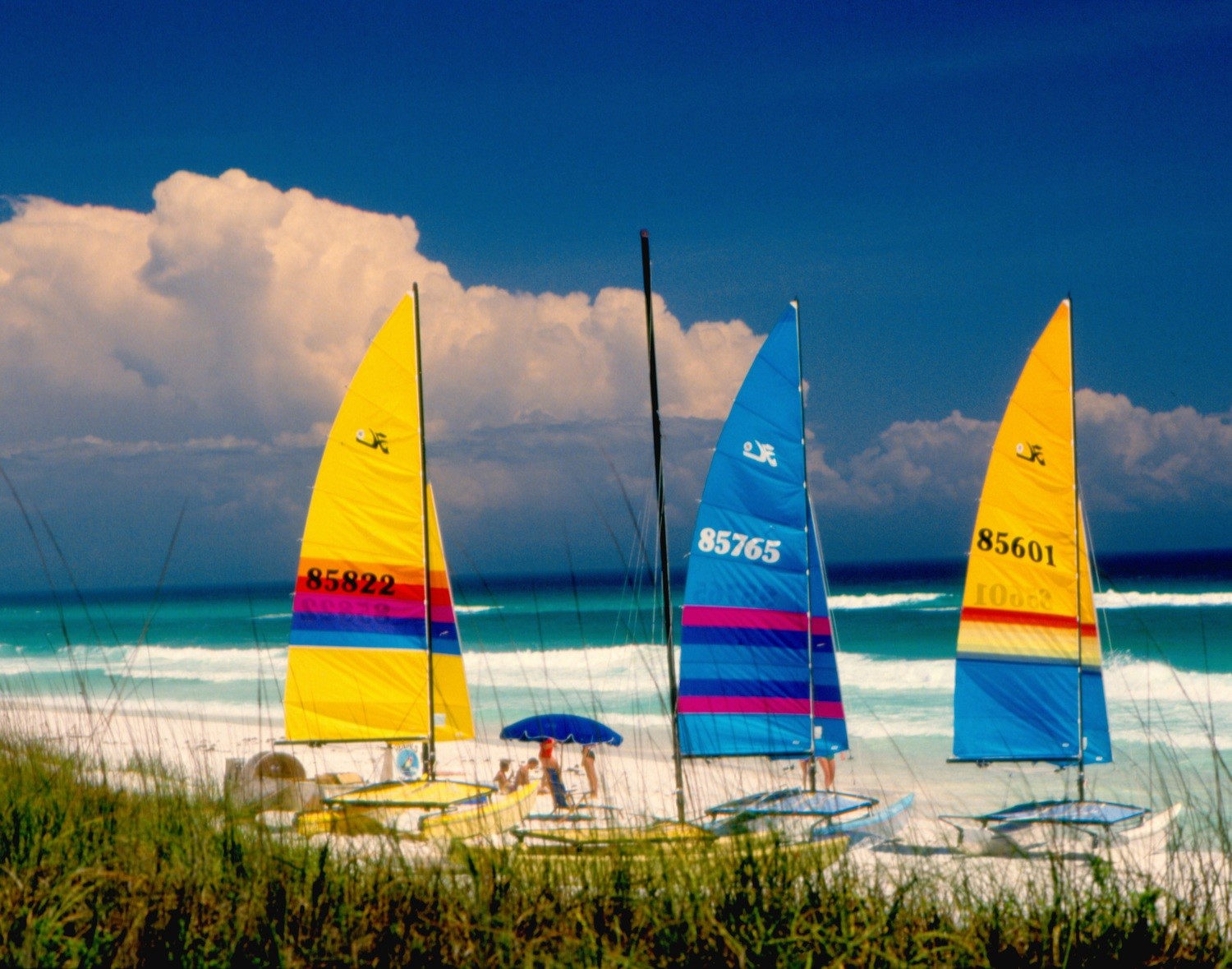 Florida Gulf Coast Beaches “Sailing Great”
