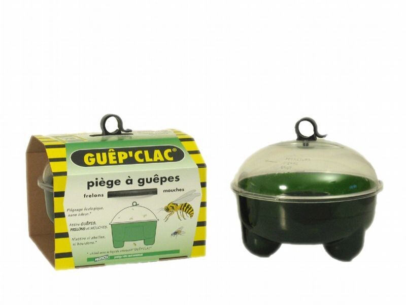 Piège à guêpes/frelons