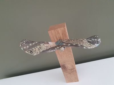 Vrije vogel, klein formaat