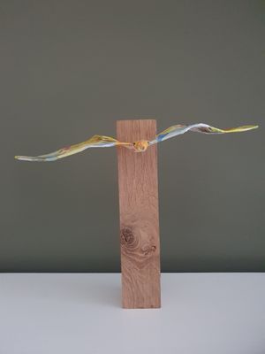 Vrije vogel, groot formaat, kleurrijk