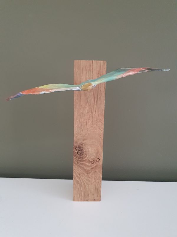 Vrije vogel, groot formaat, regenboog Vrije vogel, groot formaat, regenboog