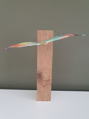 Vrije vogel, groot formaat, regenboog