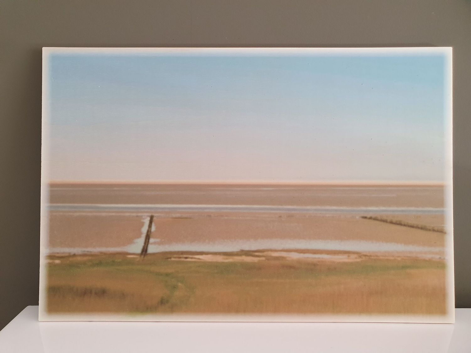 Achtergrond Vrije Vogel wad en zee 60x40 liggend