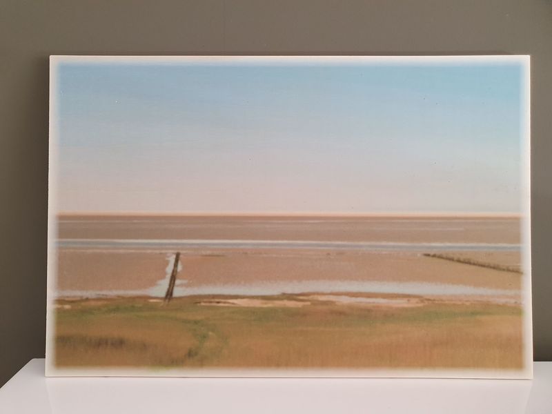 Achtergrond Vrije Vogel wad en zee 60x40 liggend