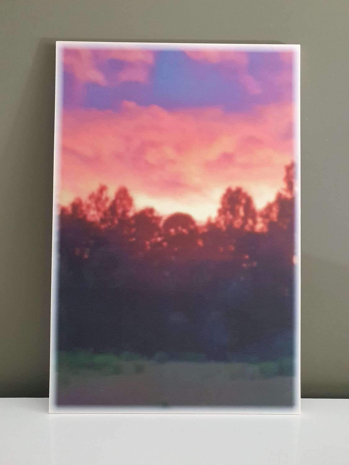 Achtergrond Vrije Vogel bomen en lucht 60x40