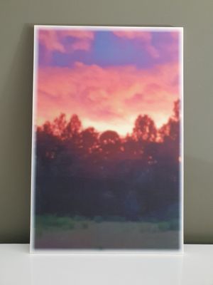 Achtergrond Vrije Vogel bomen en lucht 60x40