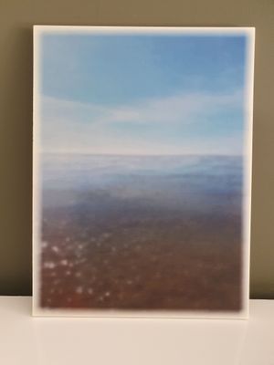 Achtergrond Vrije Vogel water zand lucht 30x40 staand